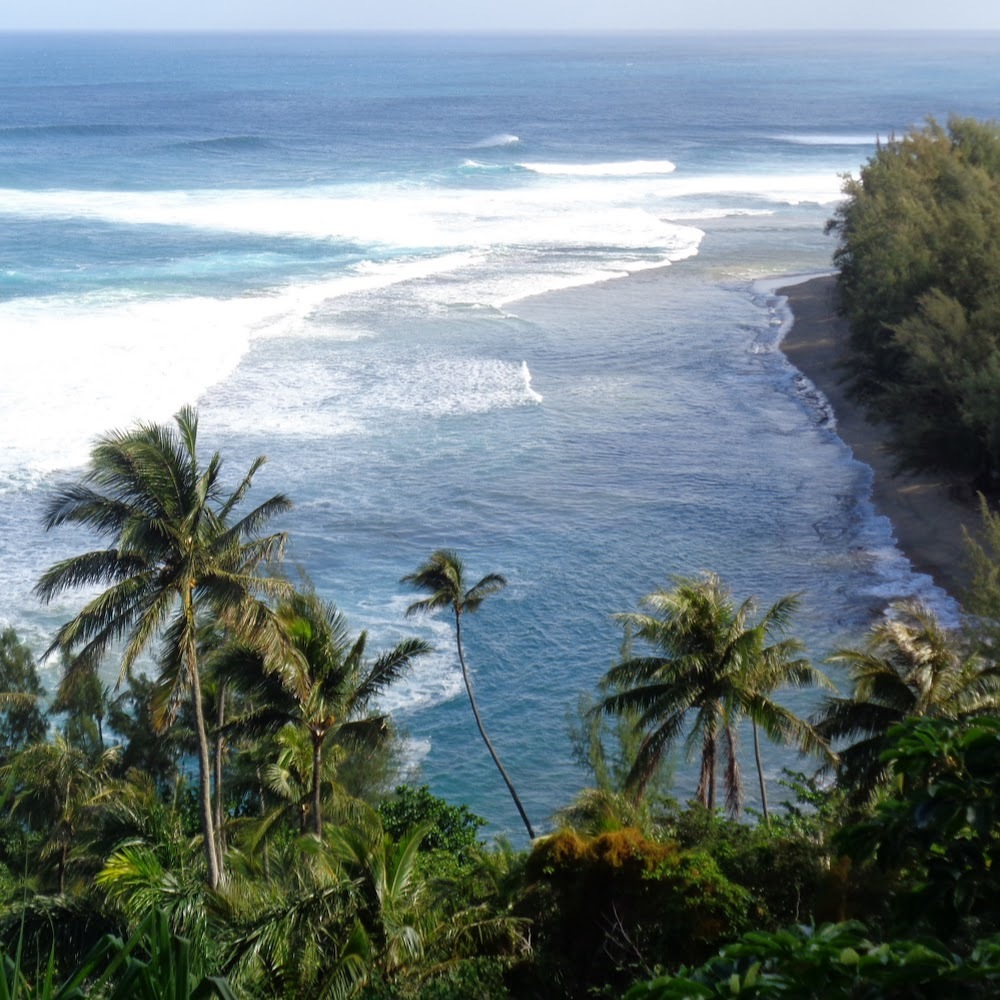 Meet your Posher, Carmen